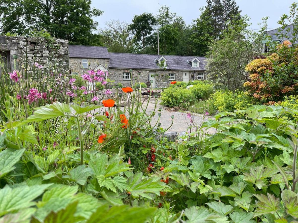 Villa Crug Yr Eryr Isaf Llandysul Exterior foto